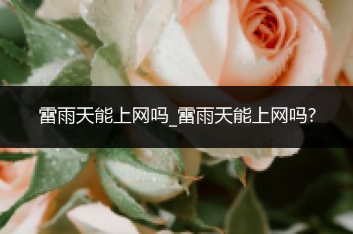 雷雨天能上网吗_雷雨天能上网吗?
