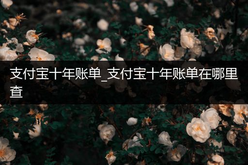 支付宝十年账单_支付宝十年账单在哪里查