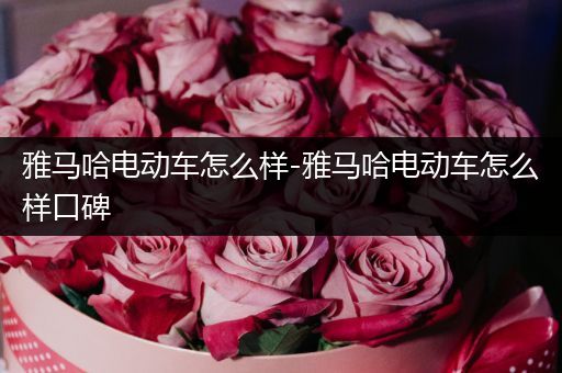 雅马哈电动车怎么样-雅马哈电动车怎么样口碑