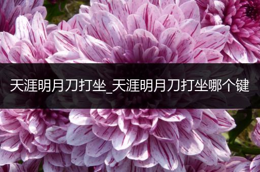 天涯明月刀打坐_天涯明月刀打坐哪个键
