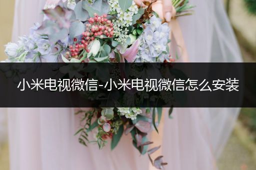小米电视微信-小米电视微信怎么安装
