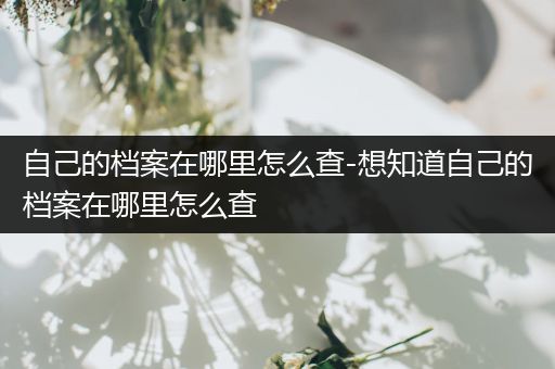 自己的档案在哪里怎么查-想知道自己的档案在哪里怎么查