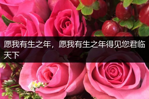 愿我有生之年，愿我有生之年得见您君临天下