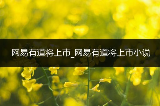 网易有道将上市_网易有道将上市小说