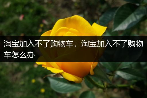 淘宝加入不了购物车，淘宝加入不了购物车怎么办