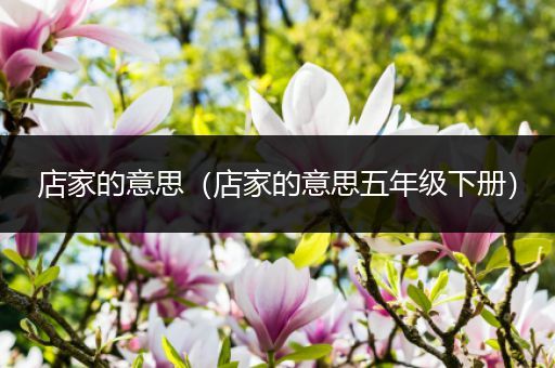 店家的意思（店家的意思五年级下册）
