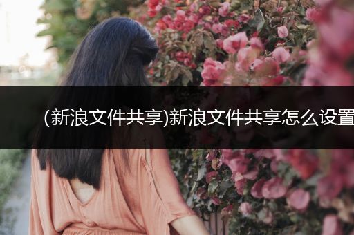 （新浪文件共享)新浪文件共享怎么设置