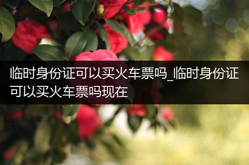 临时身份证可以买火车票吗_临时身份证可以买火车票吗现在