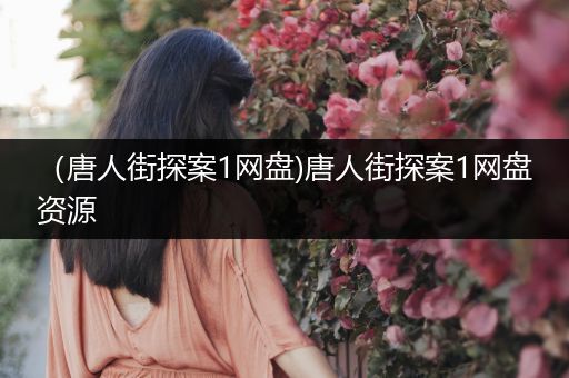 （唐人街探案1网盘)唐人街探案1网盘资源