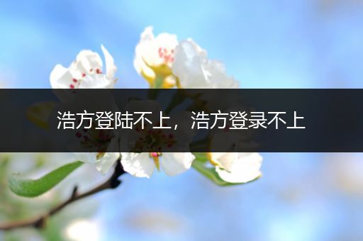 浩方登陆不上，浩方登录不上