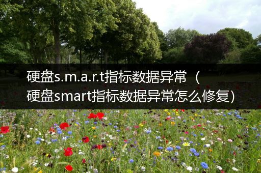 硬盘s.m.a.r.t指标数据异常（硬盘smart指标数据异常怎么修复）