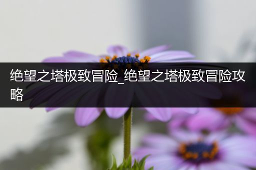 绝望之塔极致冒险_绝望之塔极致冒险攻略