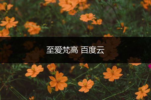 至爱梵高 百度云