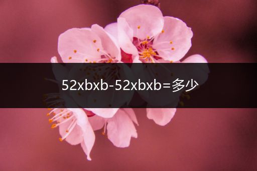 52xbxb-52xbxb=多少