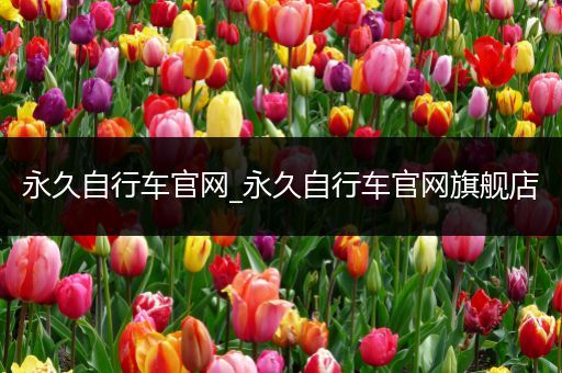 永久自行车官网_永久自行车官网旗舰店