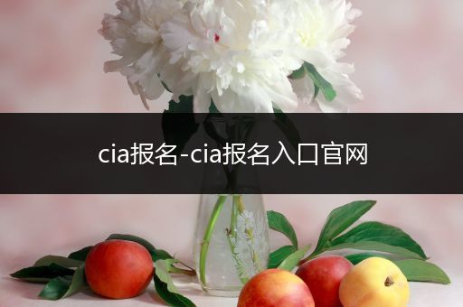 cia报名-cia报名入口官网