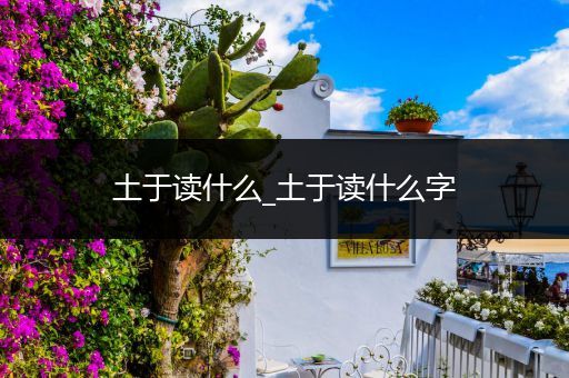 土于读什么_土于读什么字