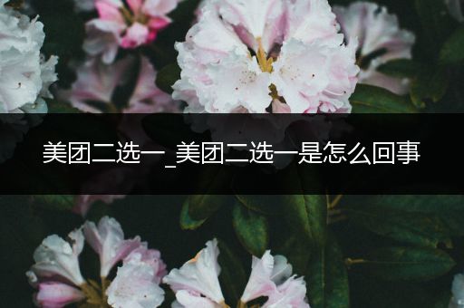 美团二选一_美团二选一是怎么回事