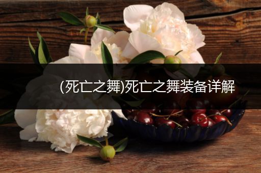 （死亡之舞)死亡之舞装备详解