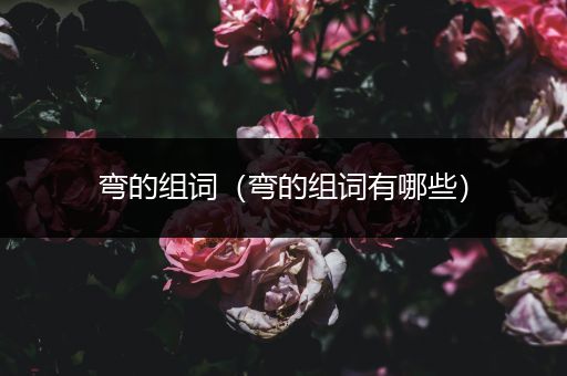 弯的组词（弯的组词有哪些）