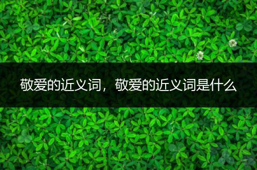 敬爱的近义词，敬爱的近义词是什么