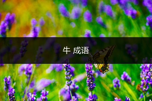 牛 成语