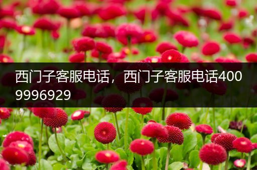 西门子客服电话，西门子客服电话4009996929