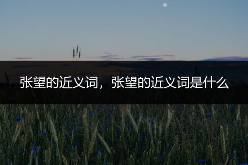张望的近义词，张望的近义词是什么