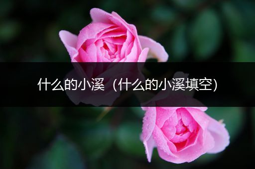 什么的小溪（什么的小溪填空）