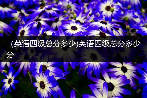 （英语四级总分多少)英语四级总分多少分
