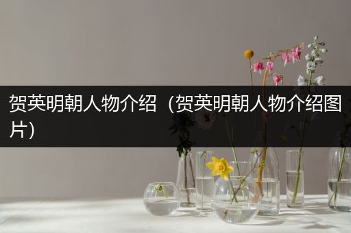 贺英明朝人物介绍（贺英明朝人物介绍图片）