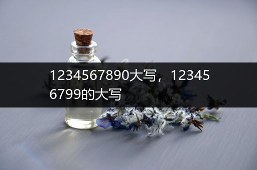 1234567890大写，123456799的大写