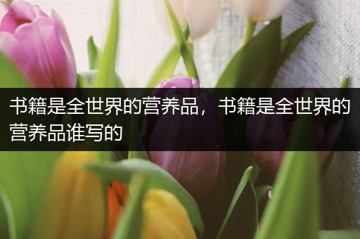 书籍是全世界的营养品，书籍是全世界的营养品谁写的
