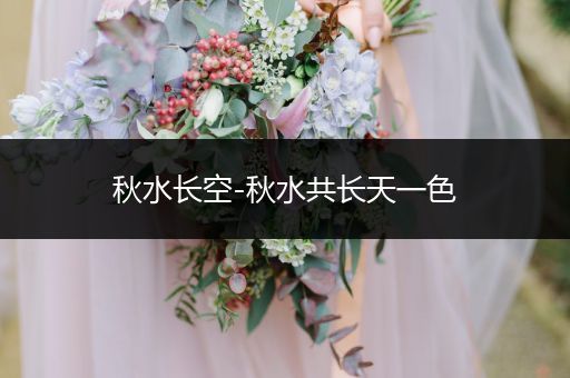 秋水长空-秋水共长天一色