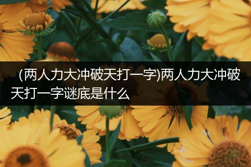 （两人力大冲破天打一字)两人力大冲破天打一字谜底是什么