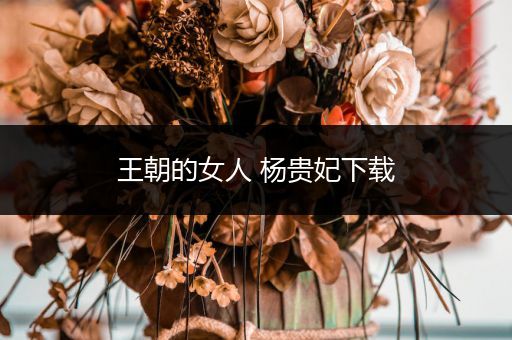 王朝的女人 杨贵妃下载