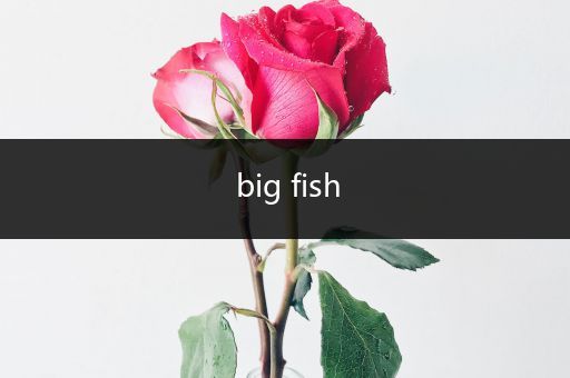 big fish