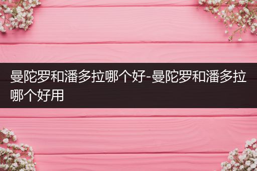 曼陀罗和潘多拉哪个好-曼陀罗和潘多拉哪个好用