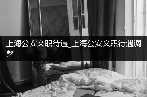 上海公安文职待遇_上海公安文职待遇调整