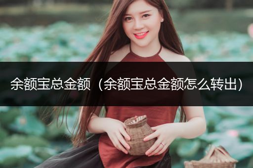 余额宝总金额（余额宝总金额怎么转出）