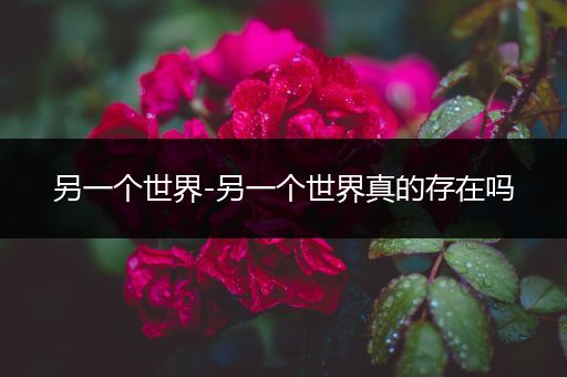 另一个世界-另一个世界真的存在吗