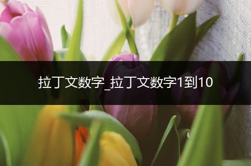 拉丁文数字_拉丁文数字1到10