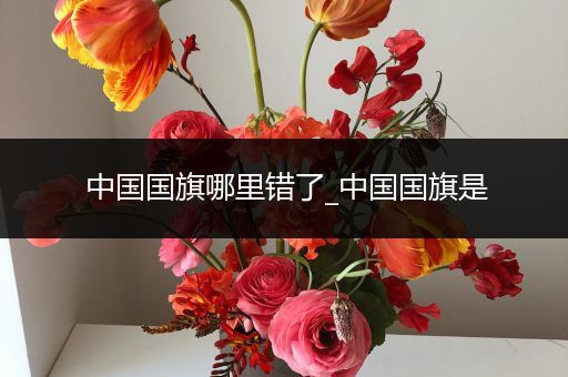 中国国旗哪里错了_中国国旗是