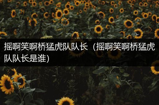 摇啊笑啊桥猛虎队队长（摇啊笑啊桥猛虎队队长是谁）