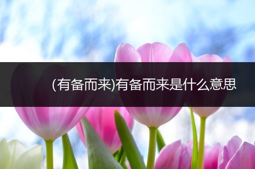 （有备而来)有备而来是什么意思