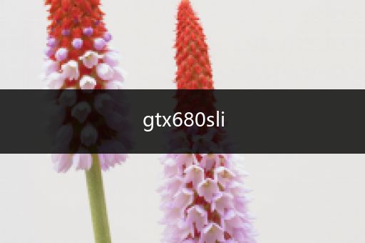 gtx680sli