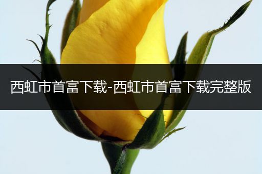西虹市首富下载-西虹市首富下载完整版