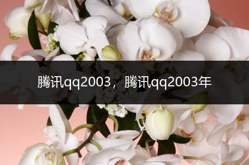 腾讯qq2003，腾讯qq2003年