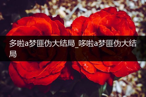 多啦a梦匪伪大结局_哆啦a梦匪伪大结局