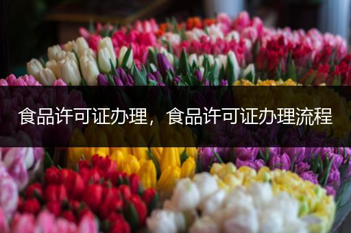 食品许可证办理，食品许可证办理流程